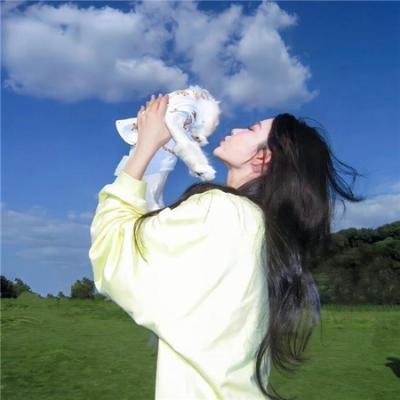 山有木兮木有枝